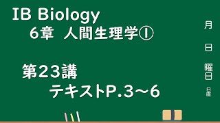 IB 6章　人間生理学①第23講