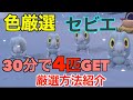 【ポケモンSV】色違いセビエ4匹ゲット！色違いセグレイブに進化するポケモン入手！厳選場所とサンドイッチの作り！厳選方法紹介！【色違いポケモン】