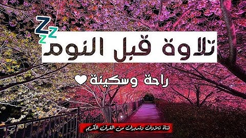 يارب العالمين 😌 دعاء نا لك براحة النفس وزوال الهموم قرآن كريم للمساعدة على نوم عميق