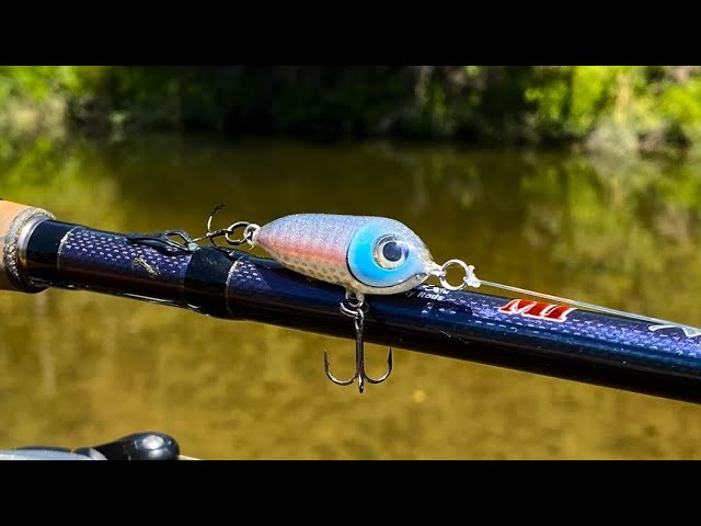 Trying Out THIS r's Favorite Lure in Super SKINNY Water! It