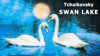 Tchaikovsky - Swan Lake (Swan Theme)