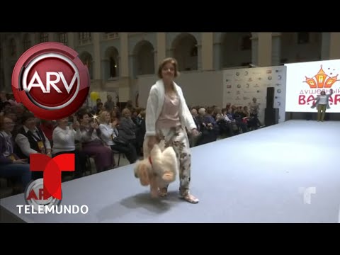Celebran desfile de