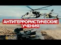 «Мирная миссия — 2021»: антитеррористические учения стран ШОС в Оренбургской области