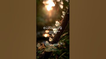 قران كريم ارح قلبك وسمعك #قران_في_دقيقة #اسلام_صبحي #quran #قرآن @قران_في_دقيقه