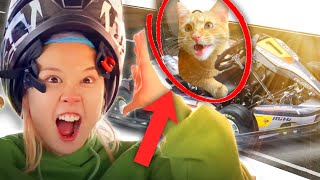 видео: Симба гоняет на машинках с ТикТокерами! | Влог с Yolo и Bip House картинка: Симба гоняет на машинках с ТикТокерами! | Влог с Yolo и Bip House