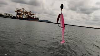 CASTING UMPAN SOFT LURE STRIKE KERAPU BATU || Spot PLTU Bunton Adipala #mancingmania screenshot 4