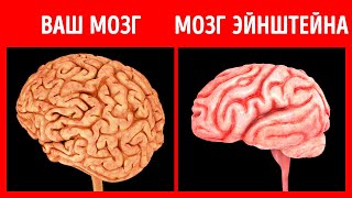 Непонятные явления, которые Эйнштейн превратил в крупные открытия