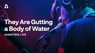 They Are Gutting a Body of Water on Audiotree Live (Full Session)