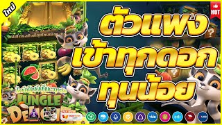 สมัครสล็อต สล็อตเว็บตรง เว็บตรงไม่ผ่านเอเย่นต์ : Jungle Delight