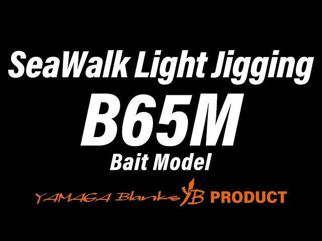 SeaWalk Light-Jigging B65M - YouTube