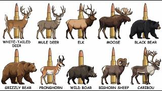 The Best Caliber for Every Big Game Animal in North America