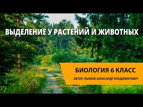 Выделение у растений и животных