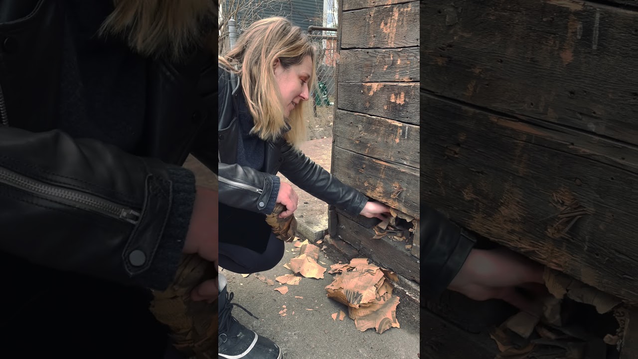 Finding cool stuff in the walls of old houses!