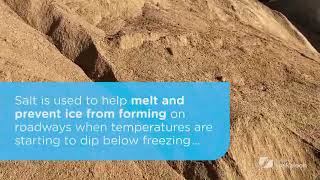 Inside Saskatoon’s Sand and Salt Yards