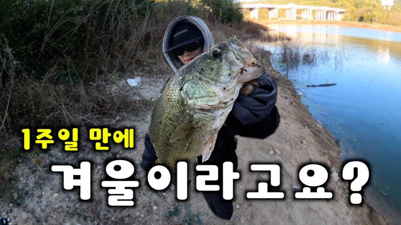 금새 바뀌어버린 포인트❗️하지만 달리 갈곳이 없다...😭 | 배스낚시