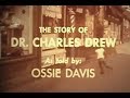 Biography of Charles R. Drew - African American Inventor