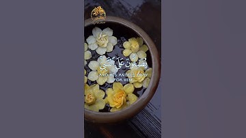 🌻 إن الله وملائكته يصلون على النبي 🌻 تلاوة خاشعة 🌻 ما تيسر من سورة الأحزاب🌻 القارئ ماهر المعيقلي 🌻
