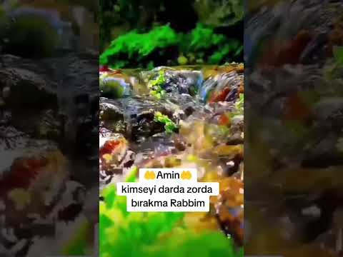 dilimiz duadan kalbimiz imandan eksik olmasın