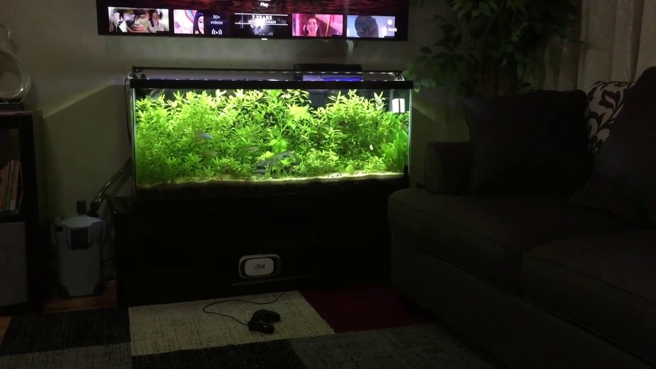 My aquarium TV STAND YouTube