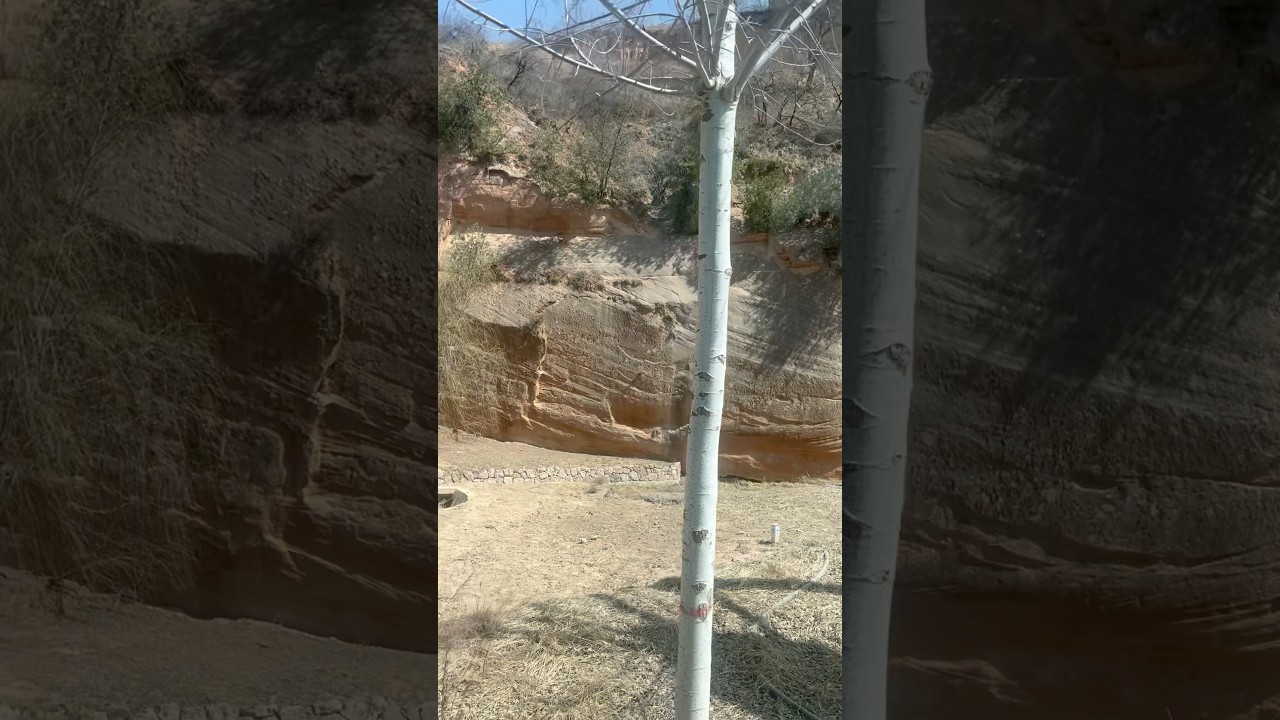 The silent, desolate beauty of a Chinese plateau 