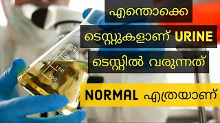 Important Urine Tests and Normal Values Explained in Malayalam