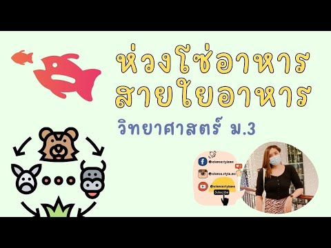 โซ่อาหาร และ สายใยอาหาร (ระบบนิเวศ ม.3)