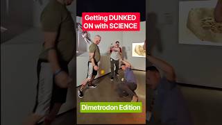 Think Dimetrodon is a DINOSAUR?! Time to get DUNKED ON with SCIENCE