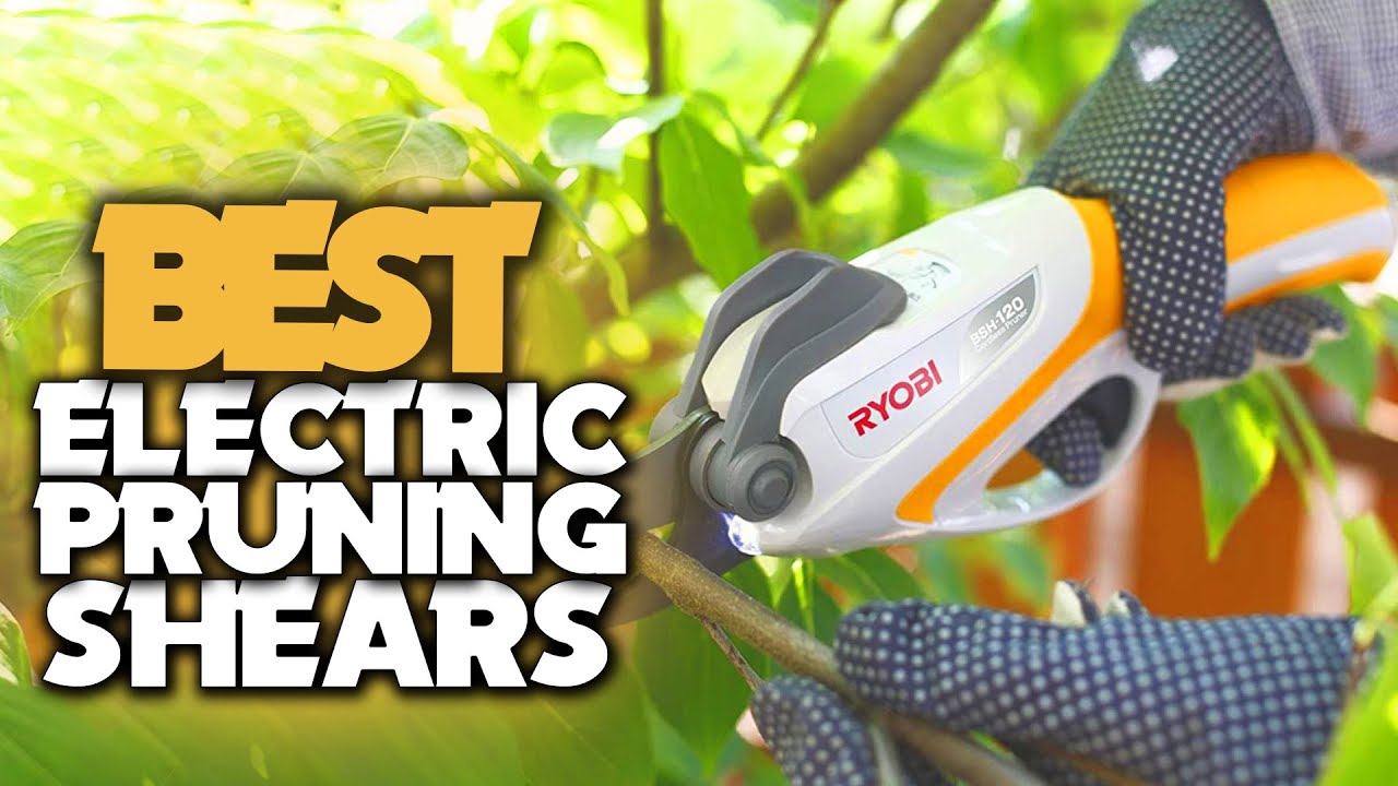 Top 5 Best Electric Pruning Shears of 2023 