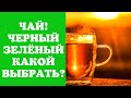 Чай чёрный или зелёный? Что выбрать? Как влияет на здоровье? Важно знать! Домашний очаг с Мариной