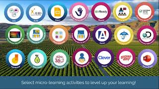 Level Up Your Learning With Alludo