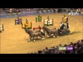 FEI World Cup Driving 2012 13 London Olympia Boyd Exell 1st Place 