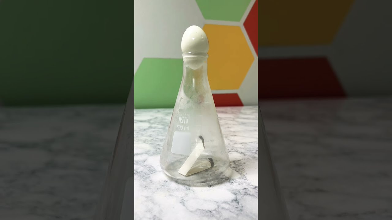 Egg In A Bottle Science Experiment