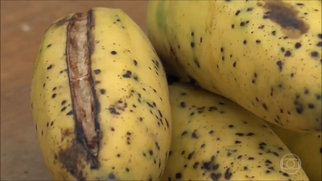 terraria journey's end PRAGA NA BANANA COMO COMBATER