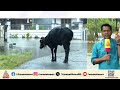 ആറന്മുളയിലെ പ്രളയജലം ഇറങ്ങി തുടങ്ങി, വീടുകളിൽ ഇന്ന് ശുചീകരണ പ്രവർത്തനങ്ങൾ തുടങ്ങും
