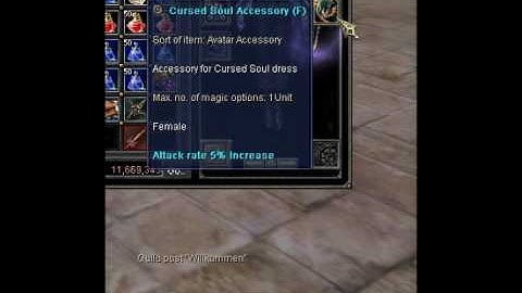 Silkroad Spear Nuker LVL 74 FULL INT