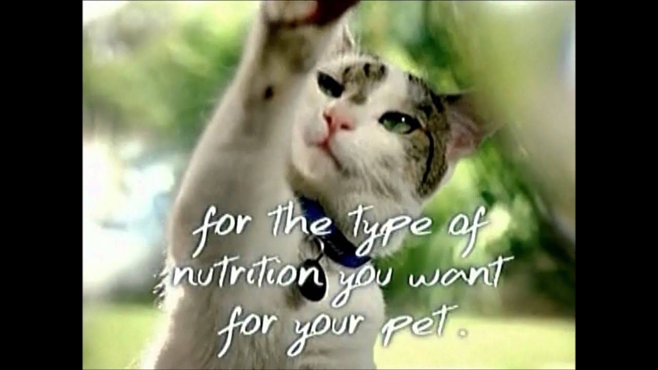 2011 New Purina One beyOnd Pet Food Commercial YouTube