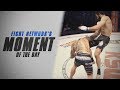 Moment of the Day: Mamed Khalidov Knocks Out Michal Materla at KSW 33