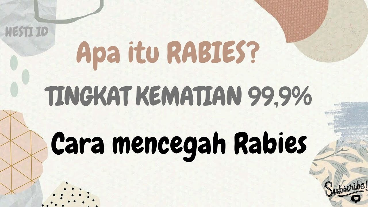 Tingkat Rabies RABIES - rabies sangat berbahaya - tingkat kematian 99,9% - YouTube