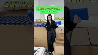 Which battery would you choose? #lifepo4battery #solarstorage #factory #battery