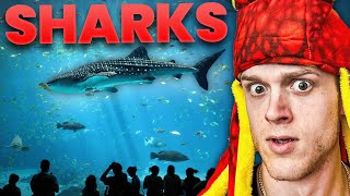 I Visited The BIGGEST Aquarium In The U.S.