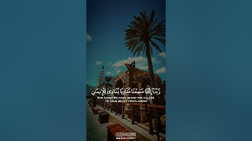 القارئ عبد الرحمن بن حامد وفقه الله