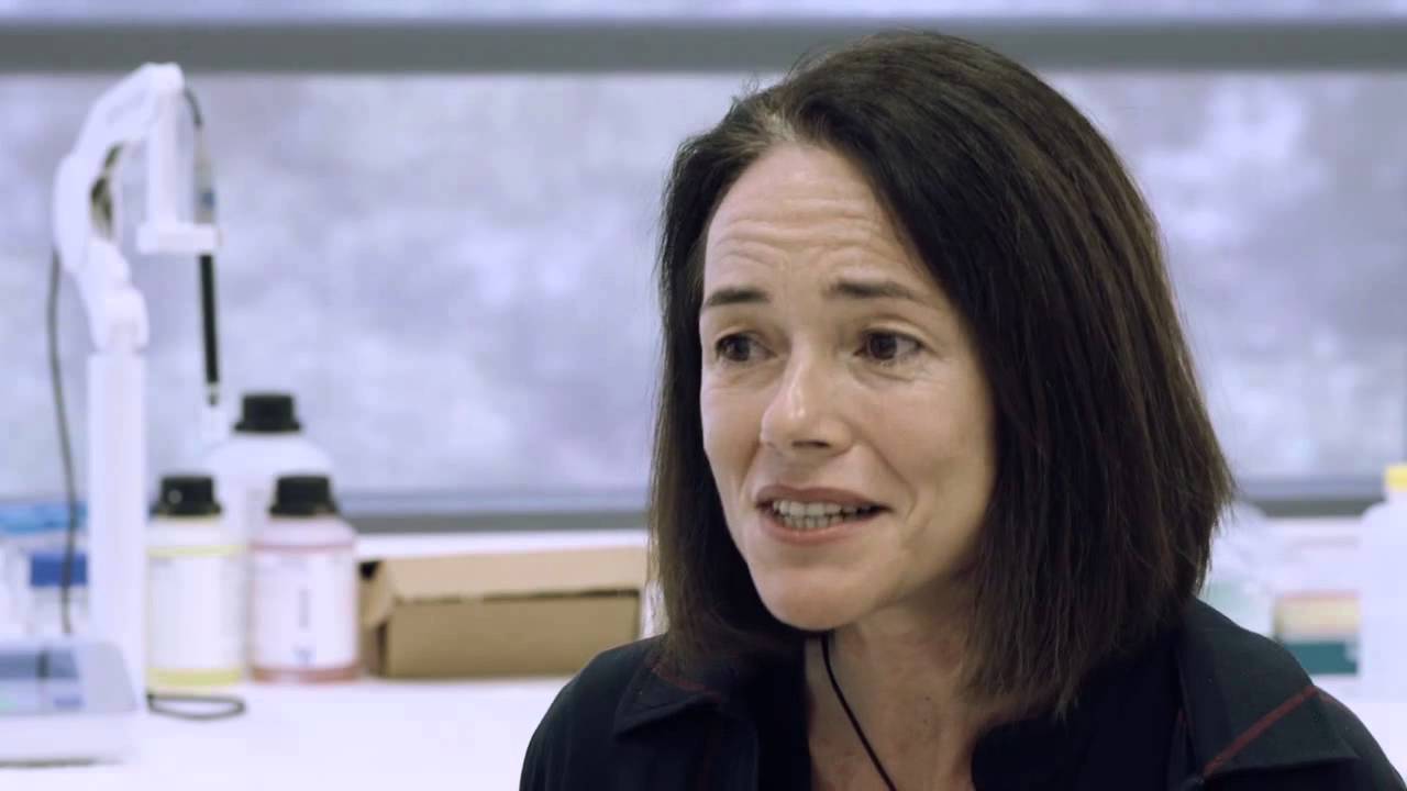 Leading Early Career Researchers  - Inaugural CSL Young Florey Medal