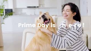 OneIsAll Prime Day Deals Are LIVE!🐾