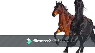 lil-nas-x---old-town-road-ft-billy-ray-cyrus-1-hour