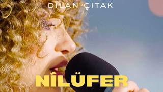 Dilan Çıtak - Nilüfer (Müslüm Gürses Cover)
