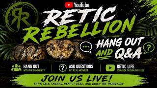 🐍 Retic Rebellion Hang Out & Q&A 🐍