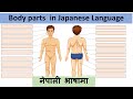 Body parts in Japanese language || जापानिज भाषामा शरीरको अंगहरु