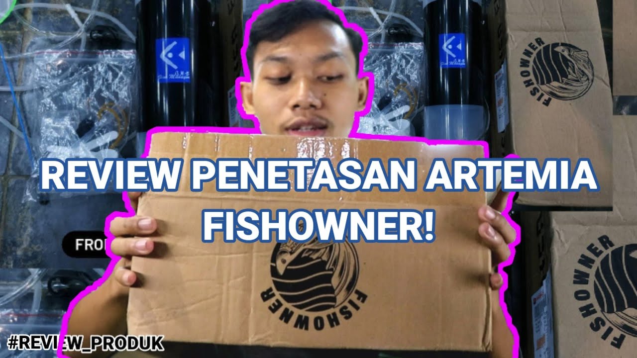REVIEW PAKET PENETASAN ARTEMIA FISHOWNER, BIKIN BREEDER JADI GANTENG.