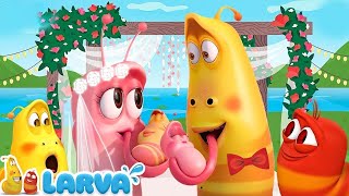 LARVA CARTOON FULL EPISODE | THE BEST OF FUNNY CARTOON | CARTOONS MOVIES NEW VERSION