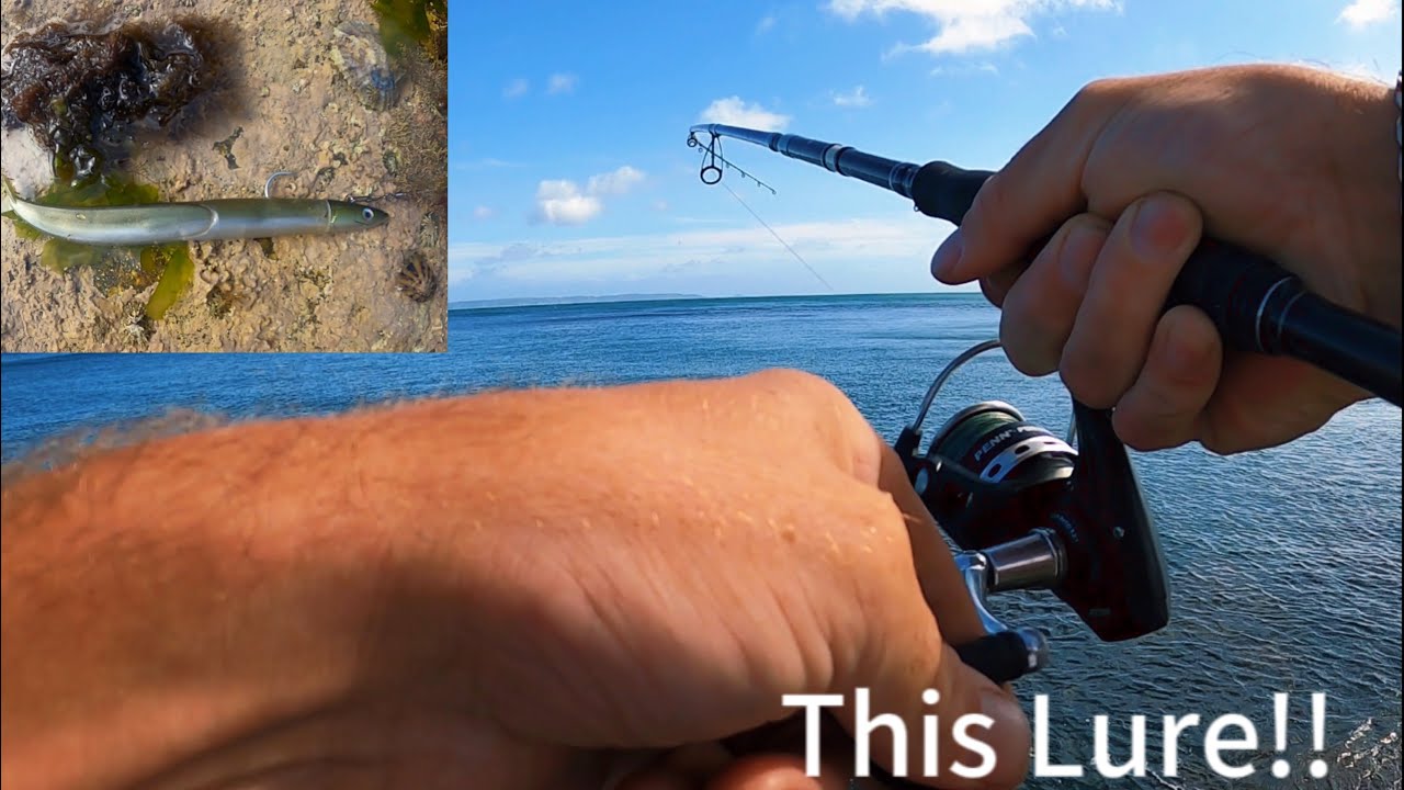 UK SEA BASS FISHINGULTIMATE BASS LURE YOU NEED FOR CATCHING BASS